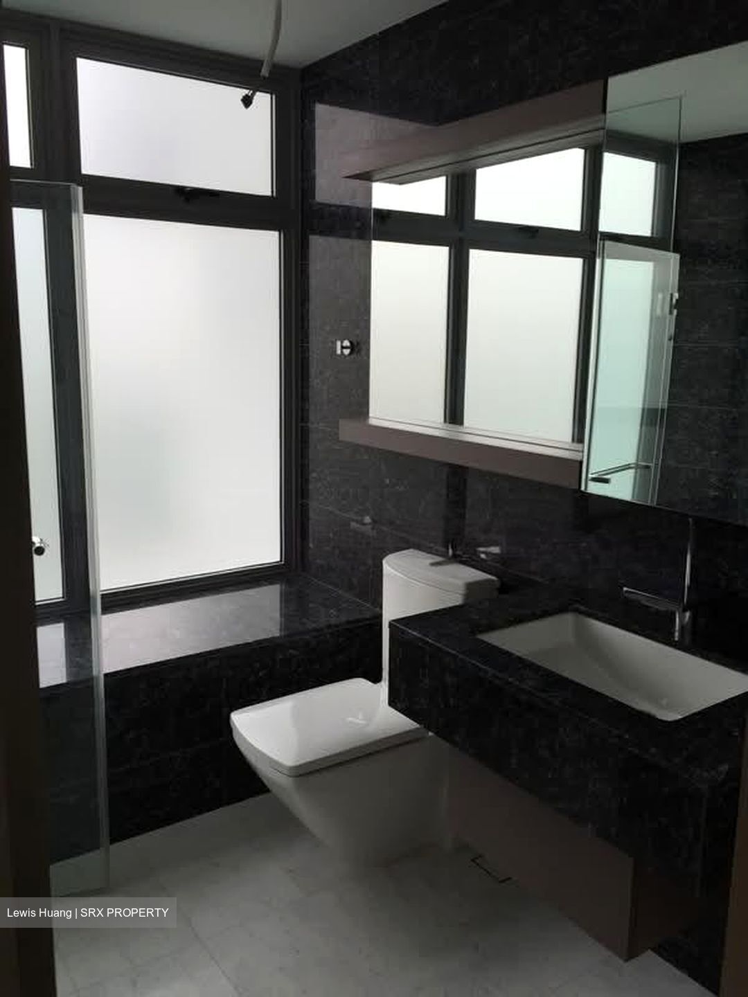 Starlight Suites (D9), Apartment #589223681